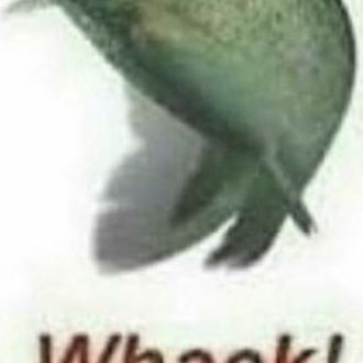 terrible images i have