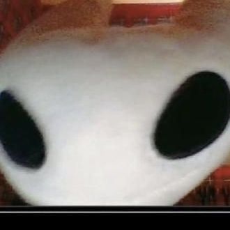 random images that i have downloaded in my computer