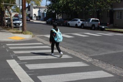 fun fact for fellows who are still interested in german (smirk) the german translation for crosswalk, is der Zebrastreifen, which in english translates to zebra stripes ! imagine walking on zebra stripes each time you would have to cross a road or a street